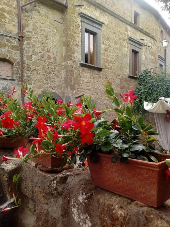 Il Vento E La Ginestra Apartment Bagnoregio Exterior photo